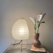 Akari 1N Table Lamp