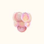 Modernist Sconces In Hand-Blown Murano Glass - Image 15