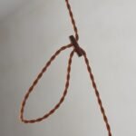 Walnut Rice Paper Pendant Light C - Image 8