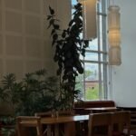 Akari L6 Pendant Light - Image 2