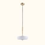 Bert_Frank_Travel_Pendant_light_01