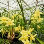 MELT Table Lamp - Image 6