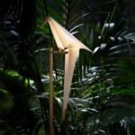 Perch Table Light - Image 2