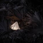 FRAGMENT 4 Table Lamp - Image 9