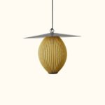 Satellite Outdoor Pendant Light